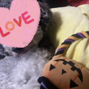 ♡出勤♡の写真1枚目