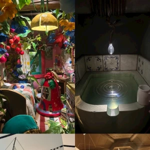 11.14の写真3枚目