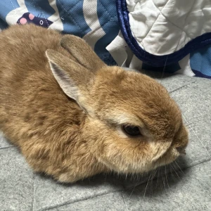 おはようございます☀の写真1枚目