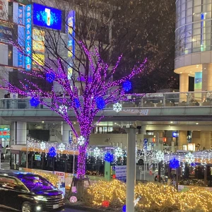 こんばんは❕の写真1枚目