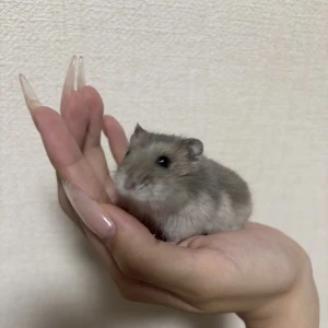 街中はお盆休みだな〜って感じた！の写真1枚目