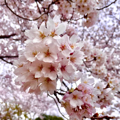 こんばんは〜！