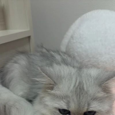 ひさびさにいるよー！