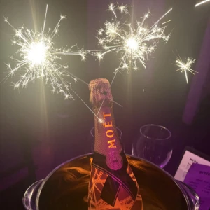 3/25🐈の写真1枚目