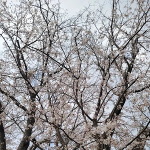 こんにちは☺️の写真2枚目