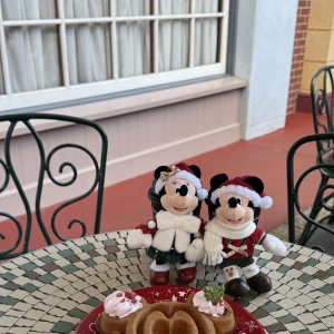 今日！の写真1枚目