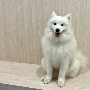 なぎさです🙂‍↕️💖の写真1枚目