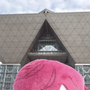 こんばんは❕の写真1枚目