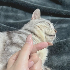 おはようございます。ゆまです🧸🥀の写真1枚目