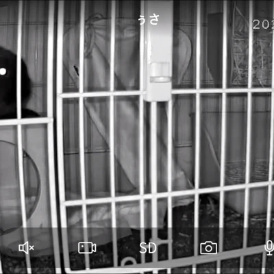 あいちゃんからペットカメラ拝借✌️