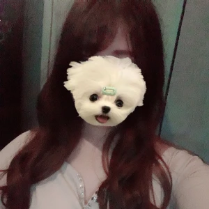 こんばんは🥰🌸の写真1枚目
