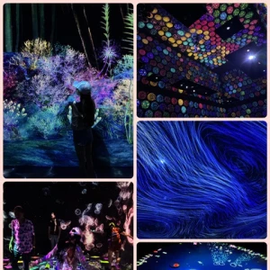 チームラボ🌟の写真3枚目
