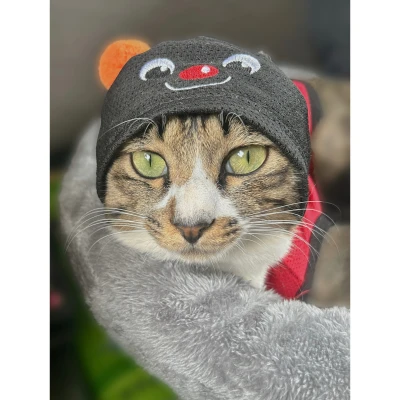 おはようございます。ゆまです🧸🥀