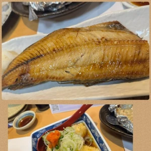 お魚🐟の写真3枚目