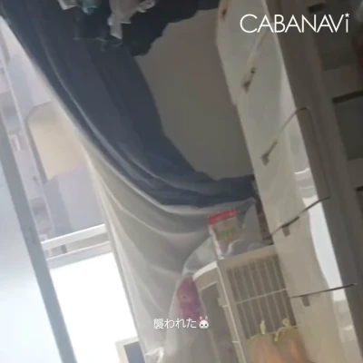 おらのぅさ🐰
