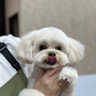 おはようさん(  ˙◊˙  )ﾉ