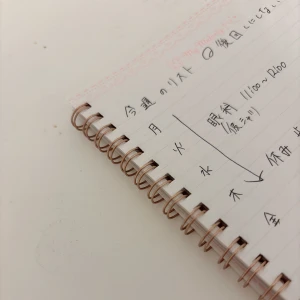 個人的な趣味で毎週カレンダーを書いてるのですが(やることリスト)、このカレンダーを見てわかる通り今週は彼シャツみたいです☺️の写真1枚目
