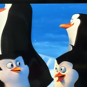 こんにちわの写真1枚目