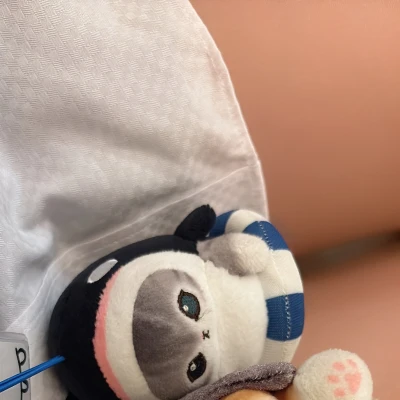 おはようございます☀️