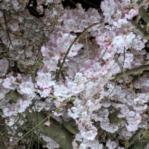 バイバイ(^_^)/~~の写真2枚目