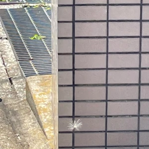 ケサランパサラン？の写真1枚目