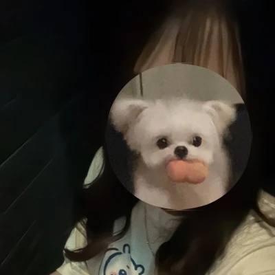 ちいかわ出勤してますっ✌🏻