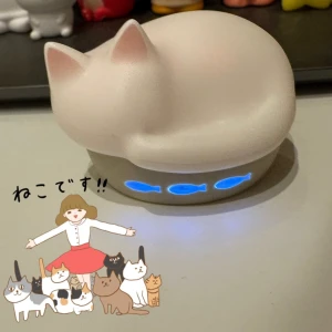 10/18の写真1枚目