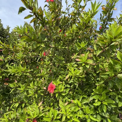 沖縄行ってきました〜