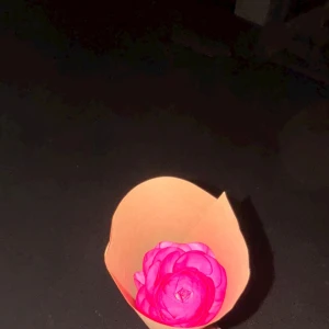 ᐕ)ﾉ 7.16 ①の写真1枚目
