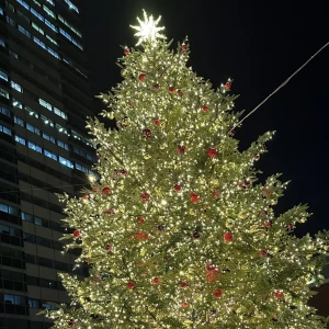 こんにちは、ゆりあですの写真1枚目