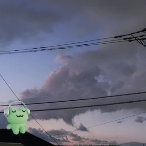 20時半から出勤です🐸の写真1枚目