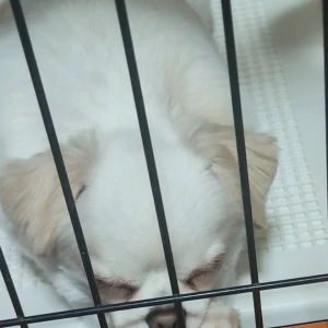 12/2の写真1枚目