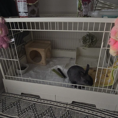 今日から連休頂きまちた😽🌟