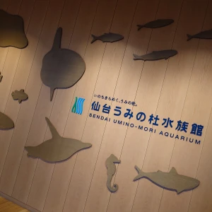 こんばんはの写真2枚目