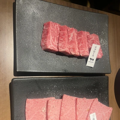 れいです🏃‍➡