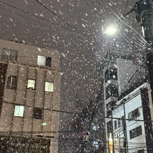 こんにちは、ゆりあですの写真1枚目