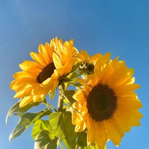 7.4の写真1枚目