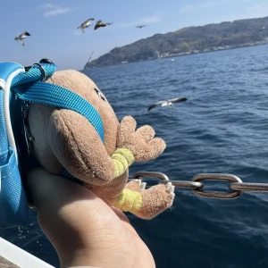 おはようございます☀の写真1枚目