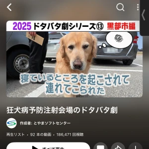 ‎🤍 あやです ‎🤍 今日います🙋‍♀️の写真1枚目
