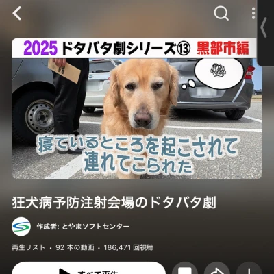 ‎🤍 あやです ‎🤍 今日います🙋‍♀️