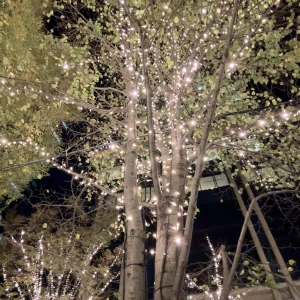 グラコロ始まった！の写真1枚目