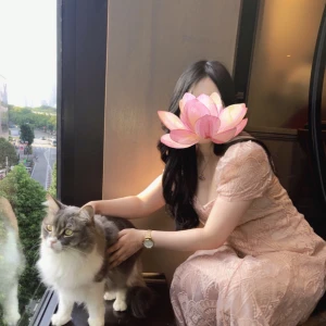 本日21時半から🐈‍⬛の写真1枚目