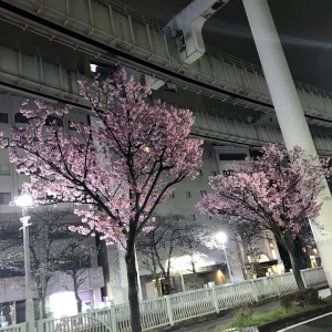 21:30～出勤🦖🐾の写真2枚目