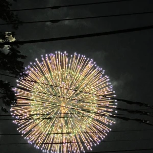 花火ヽ(*'▽'*)ﾉの写真1枚目