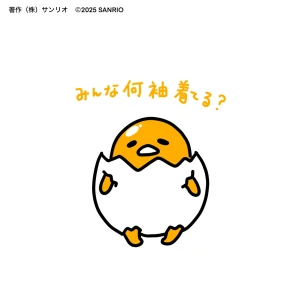 みおんです！🐰🤍の写真1枚目