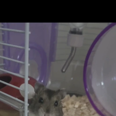 休みだったけどやること無くて出勤した ·͜·✌︎