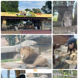 動物園🦁の写真1枚目