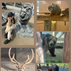 動物園🦁の写真2枚目
