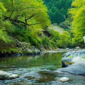 上野ハッピーギャングですの写真1枚目