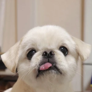 おはようわん！みゆです🧺‪🔆‬の写真1枚目